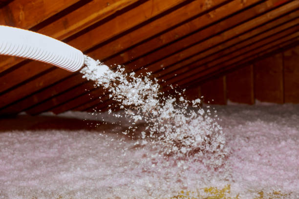 Best Energy Efficiency Insulation in Edwards, MS