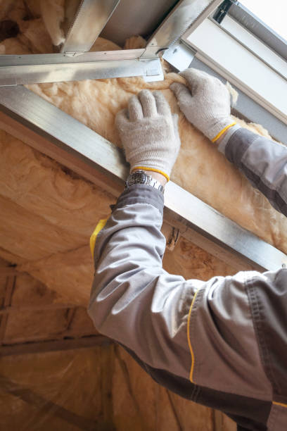 Best Spray Foam Insulation in Edwards, MS
