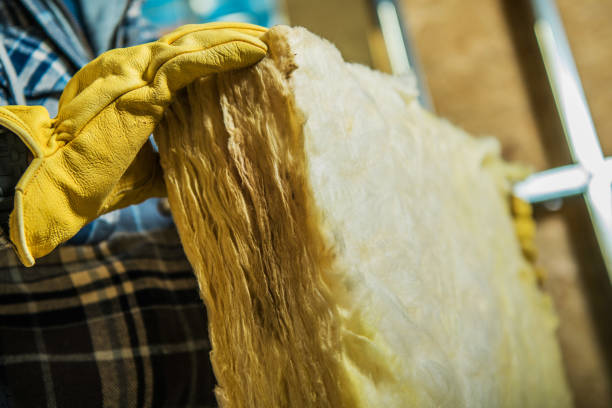 Best Eco-Friendly Insulation in Edwards, MS