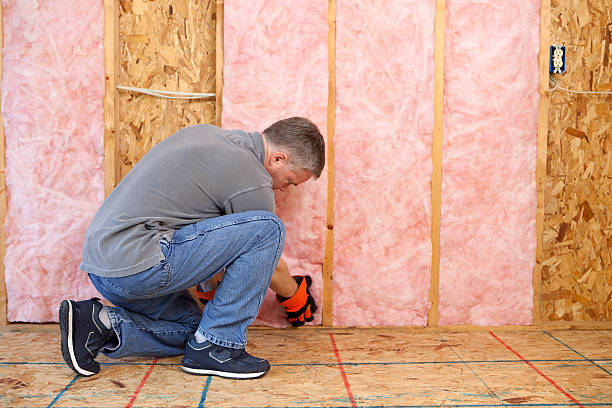 Types of Insulation We Offer in Edwards, MS